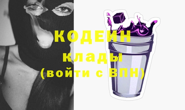 твердый Вяземский