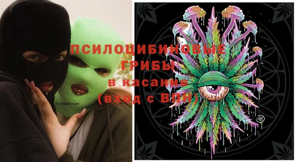 твердый Вяземский