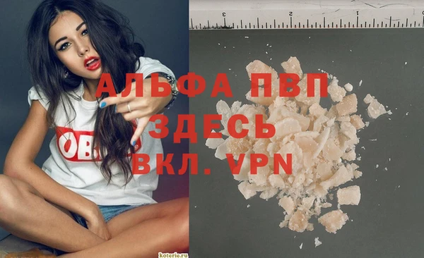 твердый Вяземский