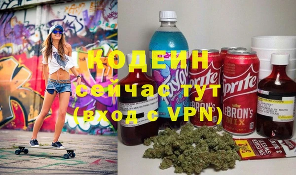 твердый Вяземский